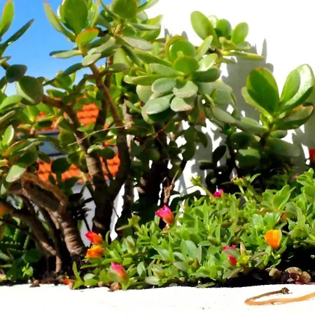 Ten2twelve Дом отдыха *