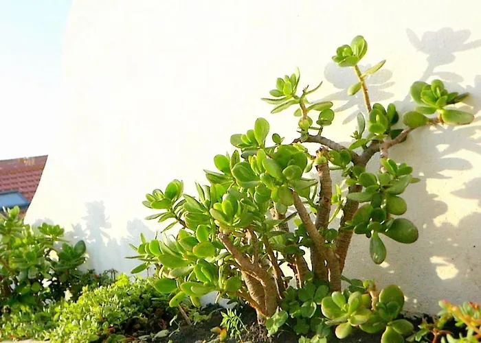 Ten2twelve Espinho (Aveiro)