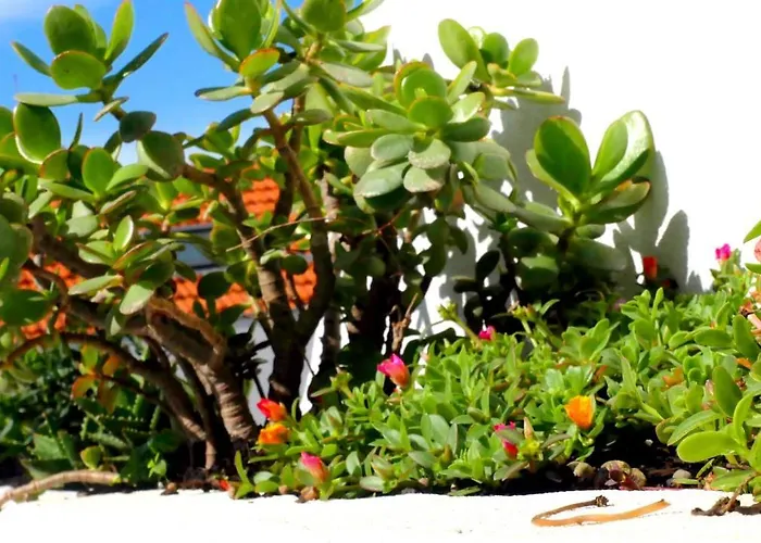 Ten2twelve Сasa de vacaciones *